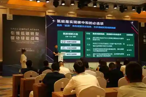 實(shí)現(xiàn)碳中和，氫能是可選項(xiàng)還是必選項(xiàng)？
